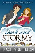 Dark and Stormy (Tillgiven #2) by Traci Tyne Hilton