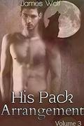 His Pack Arrangement: Volume 3 (His Pack Arrangement #3) by James Wolf