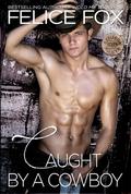 Caught By A Cowboy  (Cameron Ranch) by Felice Fox