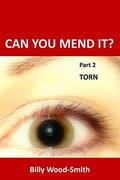 Can You Mend It? Part 2: Torn (Can You Mend It? #2) by Billy Wood-Smith