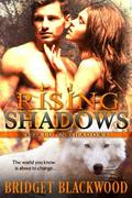 Rising Shadows: The world you know is about to change.  (World in Shadows) by Sharon Stogner