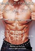 Storm: Book 5 by Evelyn Rosado