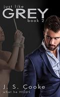 Just Like Grey 2: What He Hides by J. S. Cooke