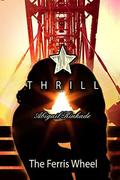 Thrill - Park Series Book 3: The Ferris Wheel  (Thrill - Park Series  (Book Three of Ten)) by Abigail Kinkade