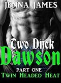 ROMANCE: Twin Headed Heat (Double Diick Dawson #1) by Jenna James