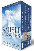 Amish Miracles BOXED SET Books 1-4: Amish Fiction Box Set - Leap of Faith, Sins of the Father, Day of the Hunter, A Fair Hearing  (Amish Miracles Series) by Cassie Belden