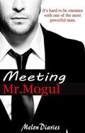 Meeting Mr. Mogul by Mel Ryle