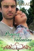 Project Valentine (A Homespun Romance #2) by Geeta Kakade