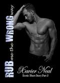 Rub Me The Wrong Way (Erotic Short Stories #2) by Kathy Krick