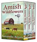 Amish Wildflowers: Little Wild Flower BOXED SET: Little Wild Flower: Book 1, Little Wild Flower: Book 2, The Taming of a Wild Flower: Book 3 by Samantha Jillian Bayarr