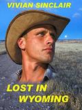 Lost In Wyoming (Maitland Legacy, A Family Saga #1) by Vivian Sinclair