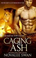 Caging Ash by Novalee Swan