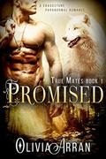 Promised by Olivia Arran