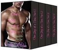 One Step at a Time: Complete Box Set by Cindy Wilder