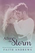 After the Storm (Dreams #2) by Faith Andrews