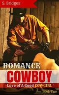 Love of A Good Cowgirl (Adult Alpha Male Rancher Contemporary Suspense Mystery Series #2) by S. Bridges