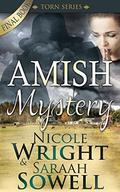 Amish Mystery (Torn #4) by Nicole Wright