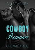 One Wild Ride by C.J. Starkey