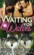 Waiting for Wolves by Anya Nowlan