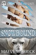 Snowbound (Arctic Station Bears #1) by Amelie Hunt