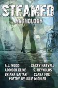 Steamed Anthology by Julie Mishler