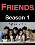Friends: Season 1 by Angela Smith