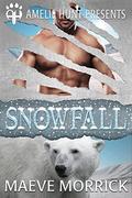 Snowfall (Arctic Station Bears #3) by Amelie Hunt