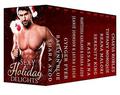 Sexy Holiday Delights: 10 Steamy Holiday Stories by Gynger Fyer