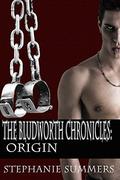 The Bludworth Chronicles: Origin by Stephanie Summers