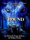 Bound (The Diaries of the Cwn Annwn #1) by Jo Pilsworth