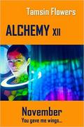 Alchemy xii - November by Tamsin Flowers