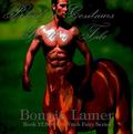 Blood of Centaurs: Kallen's Tale: Book 12.5 of The Witch Fairy Series by Bonnie Lamer
