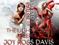 The Lighthouse Keeeper (Sisters Divided, #5) by Joy Ross Davis