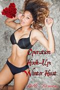Winter Heat: Operation Hook-Up by Bobbi Romans