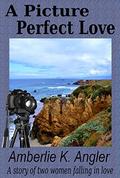 A Picture Perfect Love by Amberlie K. Angler