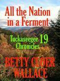 All the Nation in a Ferment (Tuckaseegee Chronicles #19) by Betty Cloer Wallace