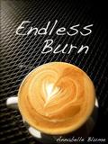 Endless Burn by Annabelle Blume