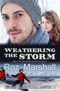 Weathering the Storm (Secrets in the Snow, Episode #6) by Roz Marshall