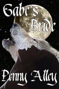 Gabe's Bride (Hollow Hills #2) by Penny Alley