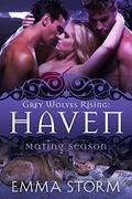 Haven (Grey Wolves Rising #5) by Emma Storm
