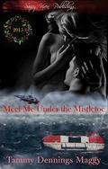 Meet Me Under the Mistletoe: 2015 Special Holiday Edition by Amber Lea Easton