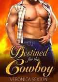 Destined For The Cowboy (Ranch Mates #7) by Veronica Sexton