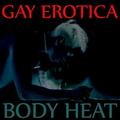 GAY EROTICA - BODY HEAT -  (25 HOT GAY SEX STORIES, Short Stories,  (Gay Erotic Stories) by Stef