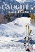 Caught Inside a Snowstorm by Ann Anderson