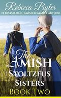 Rumspringa Anguish (The Amish Stoltzfus Sisters #2) by Rebecca Byler