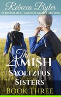 Rumspringa Forgiveness (The Amish Stoltzfus Sisters #3) by Rebecca Byler