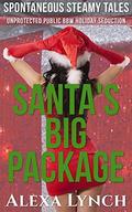 Santa's Big Package: Unprotected Public BBW Holiday Seduction  (Spontaneous Steamy Tales) by Alexa Lynch