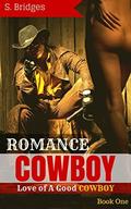 Love of A Good Cowboy (Adult Alpha Male Rancher Contemporary Suspense Mystery Series #1) by S. Bridges