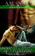 Under The Mistletoe (John & Luke #2) by Tash Hatzipetrou