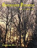Unfinished Business (The Bradley #3) by Carolina Hill